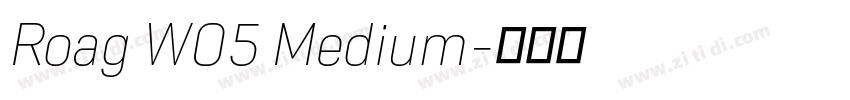 Roag W05 Medium字体转换